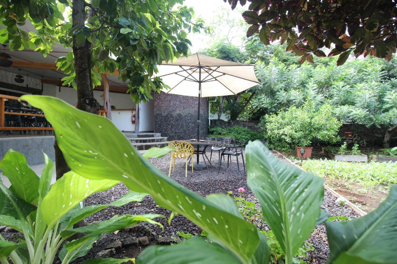 Lava House Hostal Puerto Ayora  Extérieur photo