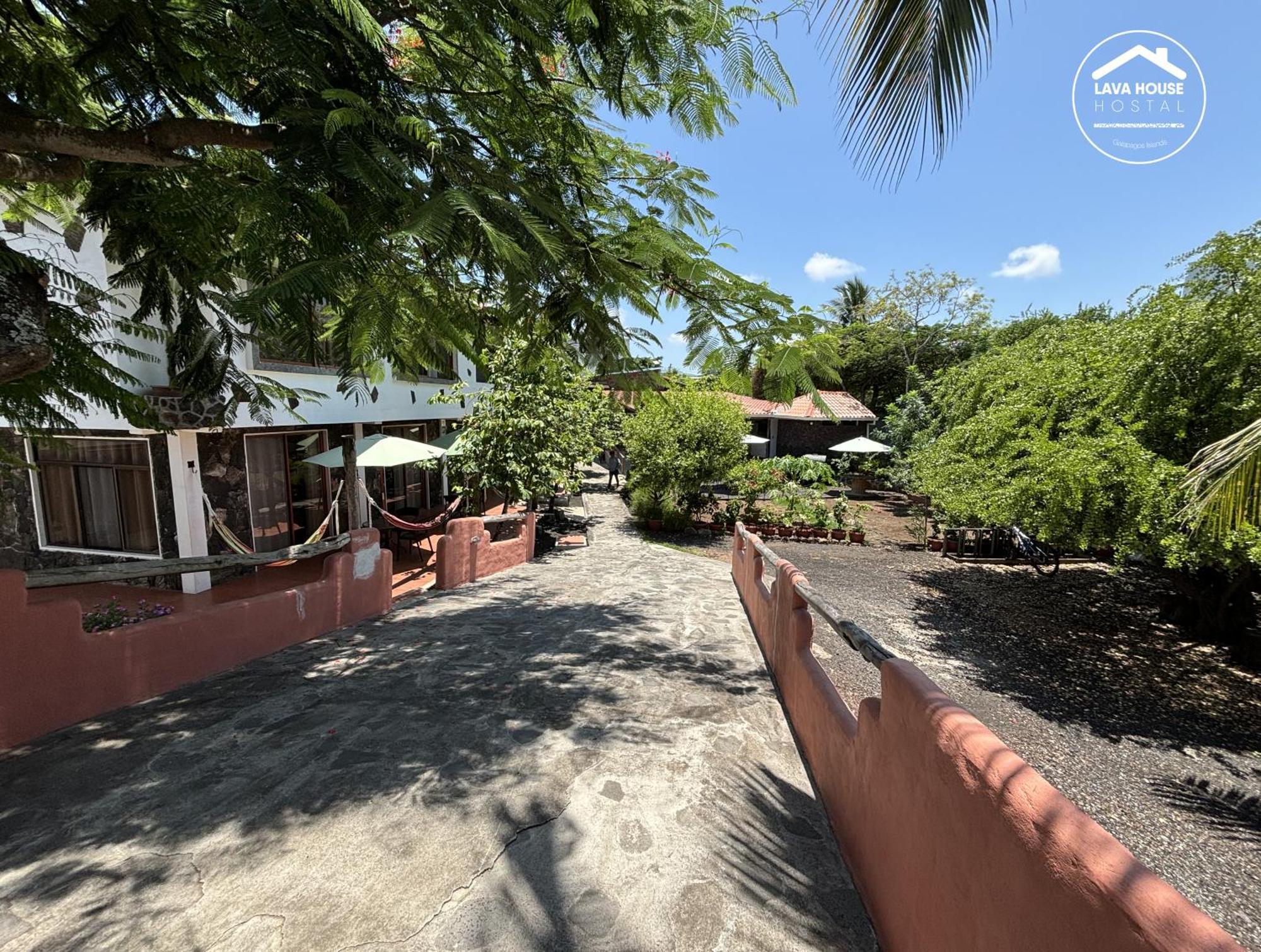 Lava House Hostal Puerto Ayora  Extérieur photo