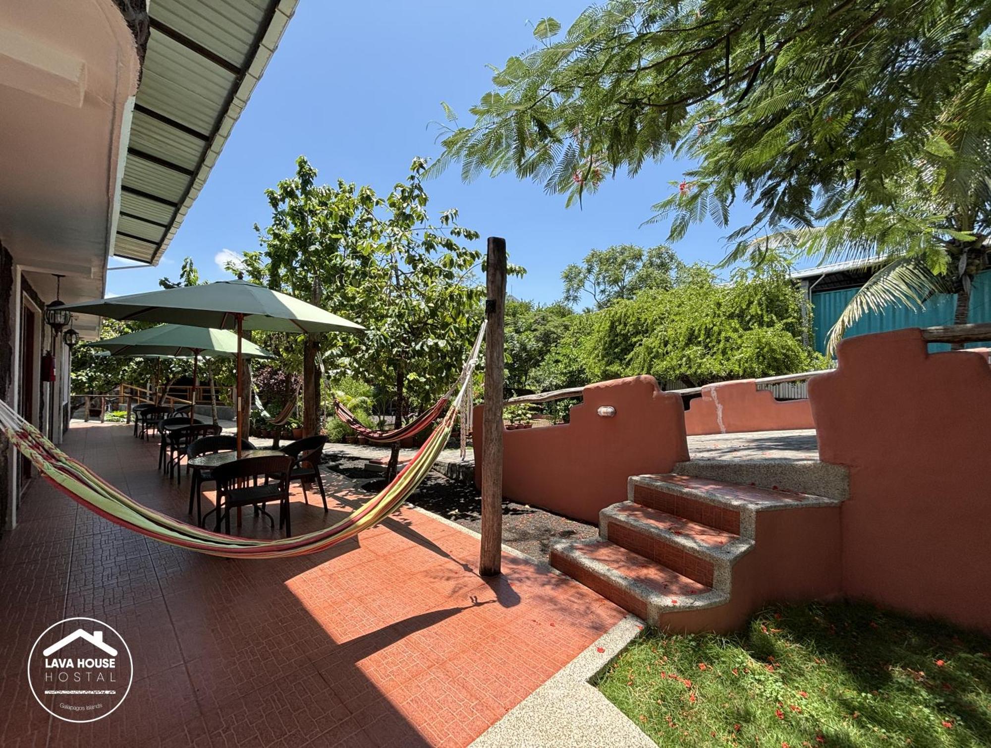 Lava House Hostal Puerto Ayora  Extérieur photo