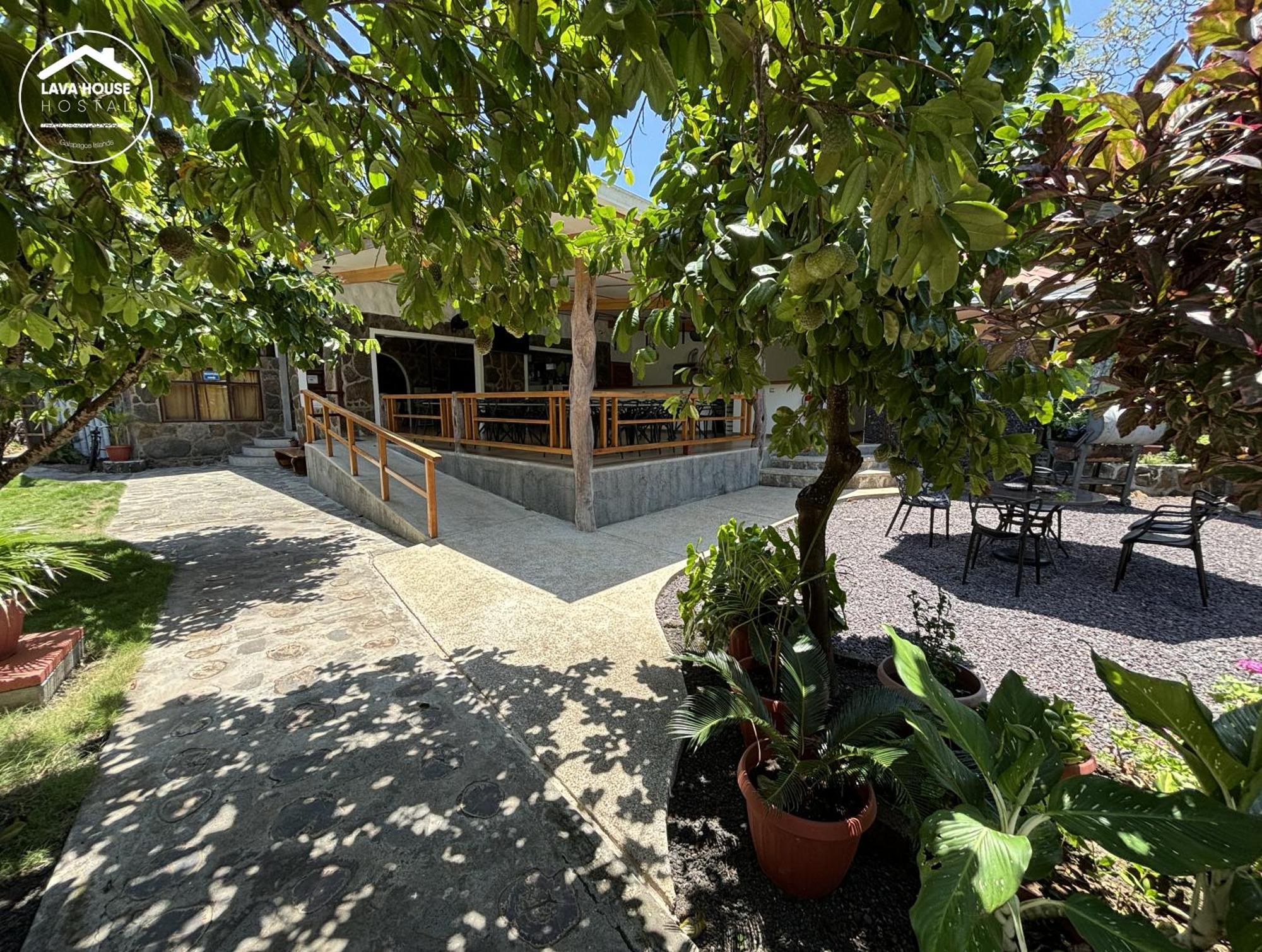 Lava House Hostal Puerto Ayora  Extérieur photo