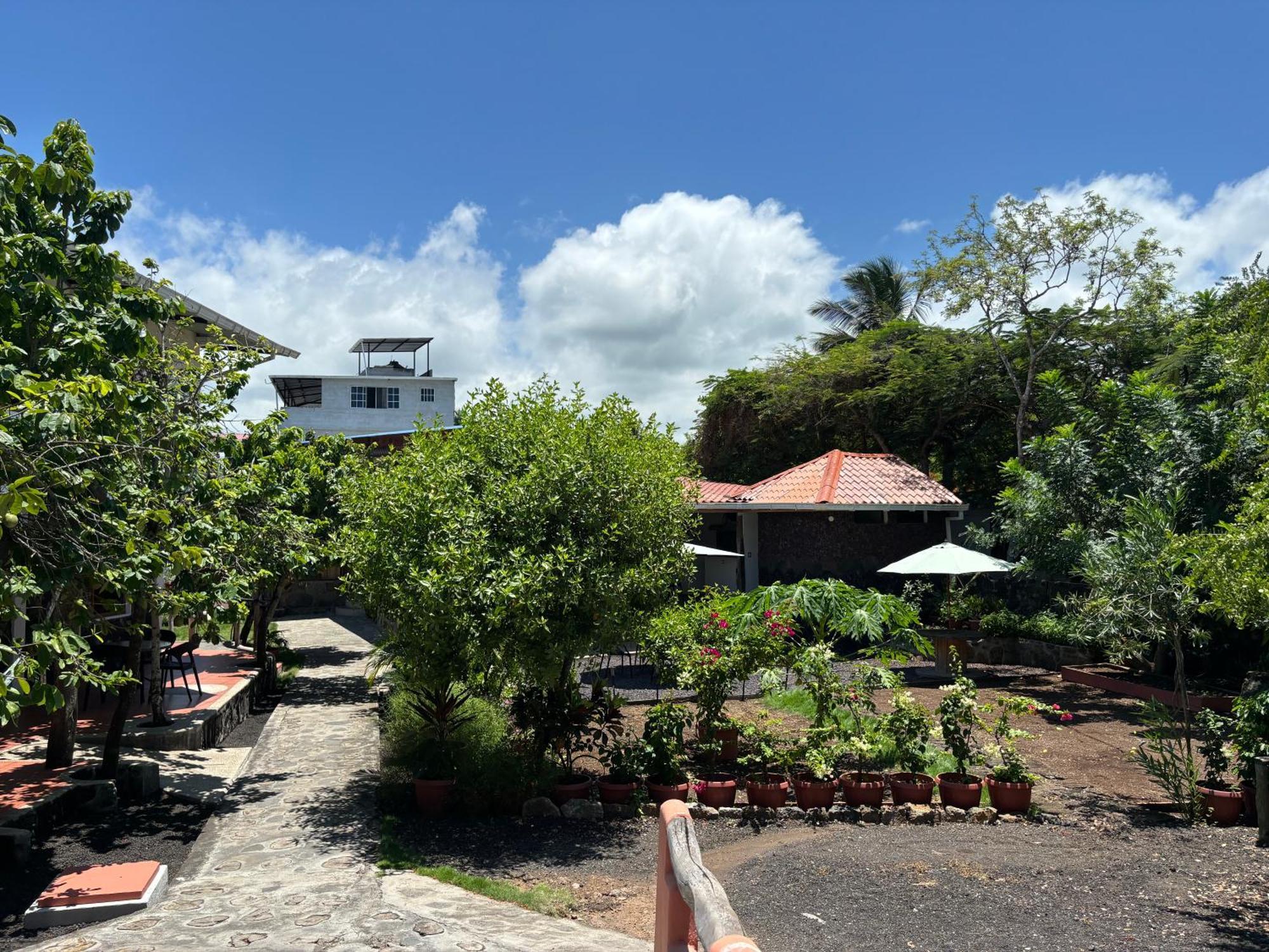 Lava House Hostal Puerto Ayora  Extérieur photo